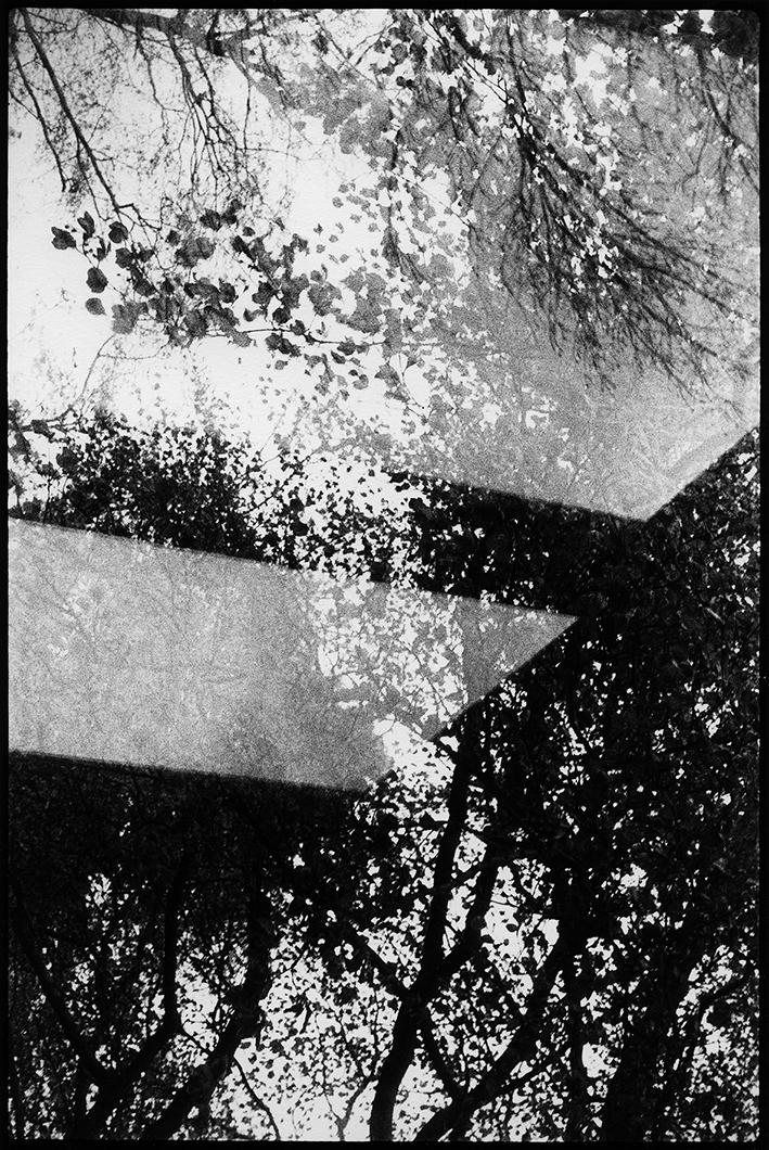 window reflection 1983.jpg